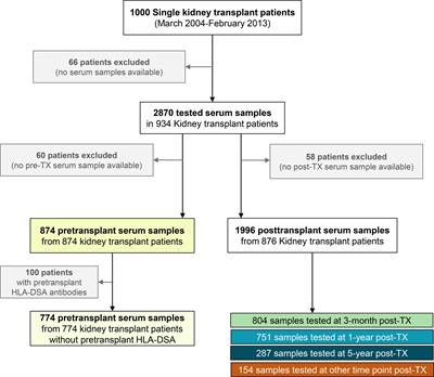 The Pre-Transplant Non-HLA Antibody Burden Associates With the Development of Histology of Antibody-Mediated Rejection After Kidney Transplantation